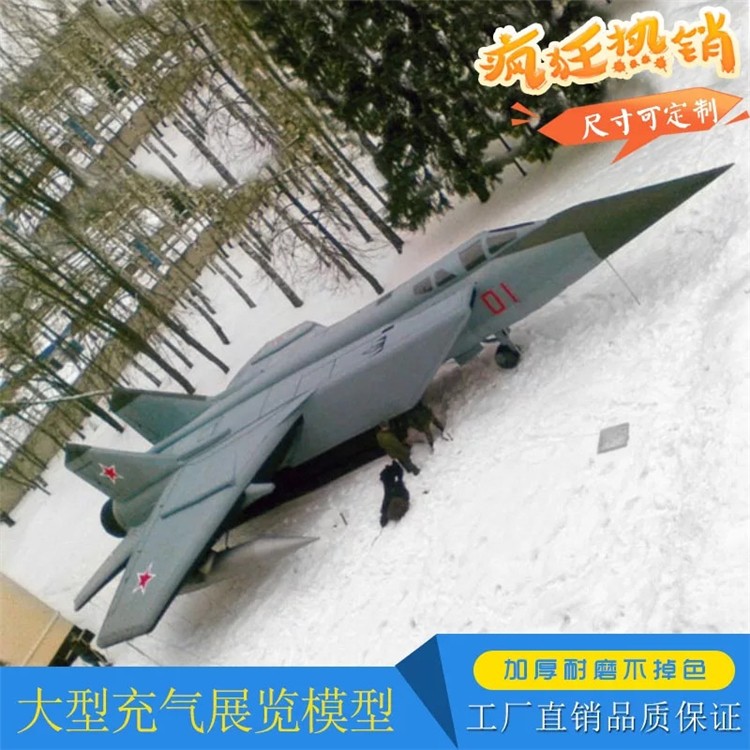 山海关充气飞机气模厂家